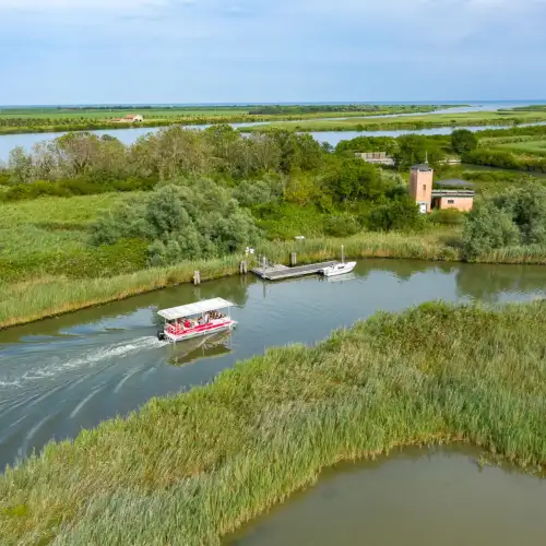 Birdwatching al vecchio faro