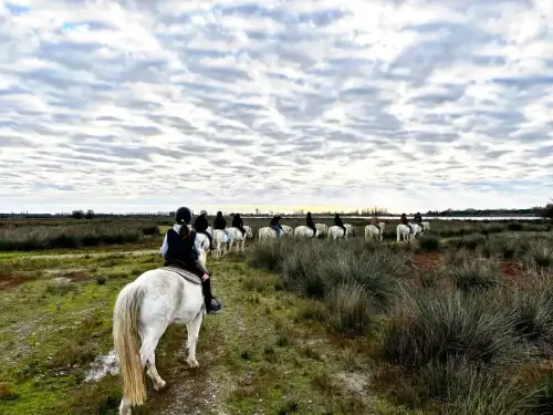 A cavallo nel cuore del Parco del Delta del Po