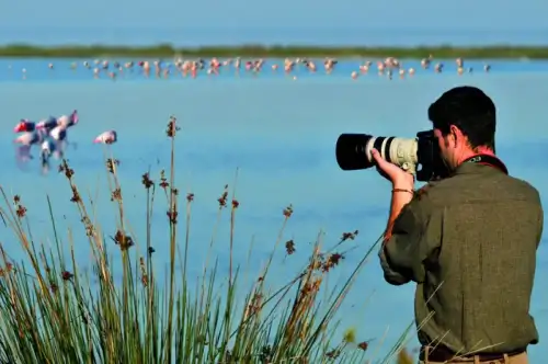 Tour personalizzati nelle Valli: fotografia e birdwatching