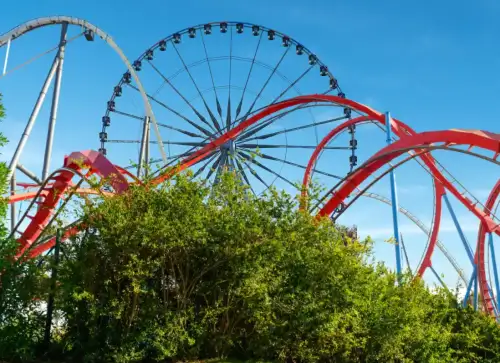 Bus dai Lidi di Comacchio a Mirabilandia