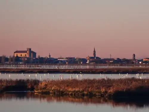 Passeggiata d’inverno nelle Valli di Comacchio