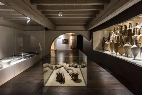 Visita guidata al Museo Delta Antico