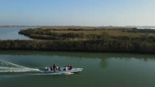 Alla scoperta della magia dell’Isola dei Gabbiani