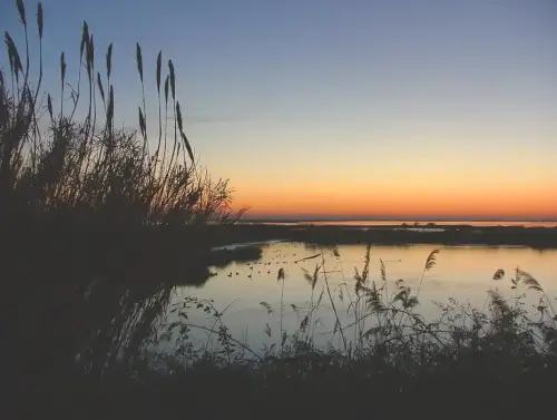 Tour privato alla foce del Po e nella Sacca di Goro