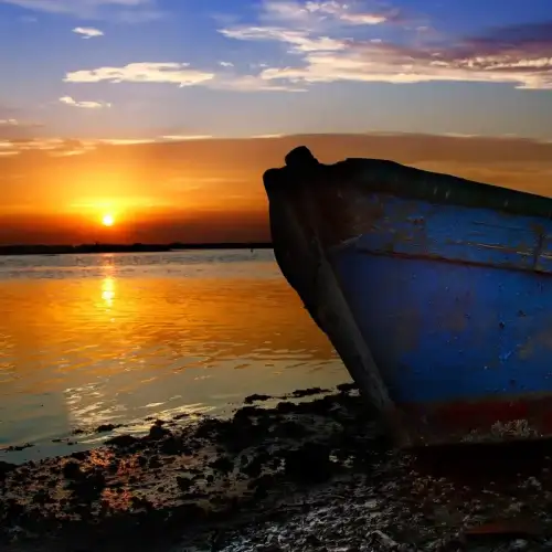 Tour all'imbrunire tra pinete, dune e lavorieri da pesca