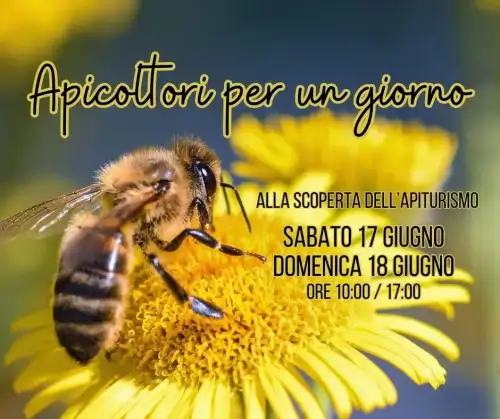 Apicoltori per un giorno