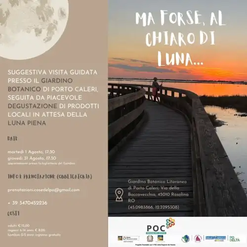 Ma forse, al chiaro di luna...