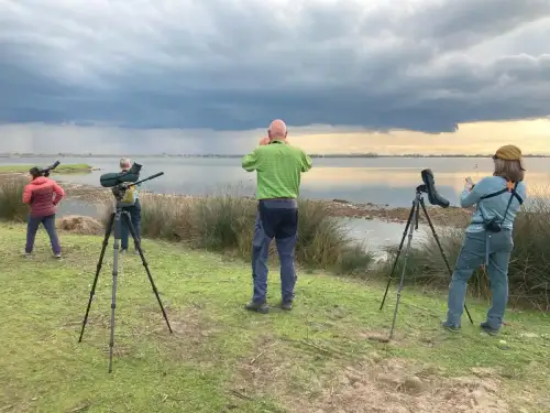 Boscoforte, uno scrigno di bellezza nelle Valli di Comacchio