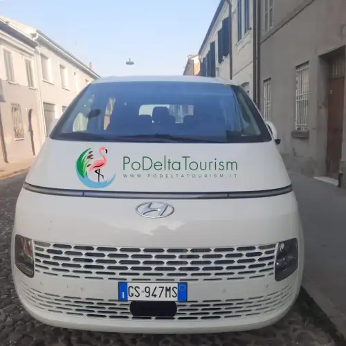 Minivan da Comacchio alle Valli