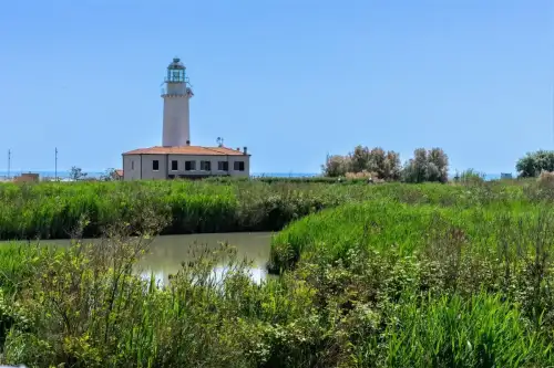 Minicrociera nel Delta fino all'Isola dell'Amore con la motonave Albatros