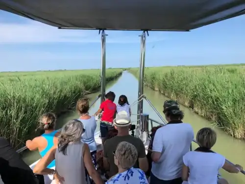 Minicrociera fra spiagge e lagune del Delta con la motonave Albatros