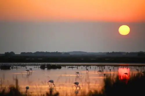 Un brindisi al calar del sole nelle Valli di Comacchio