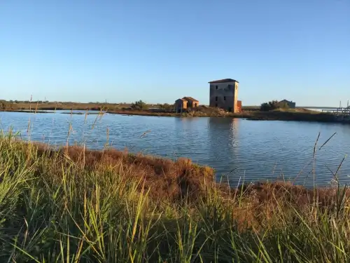 La salina di Comacchio: tra natura e tradizioni