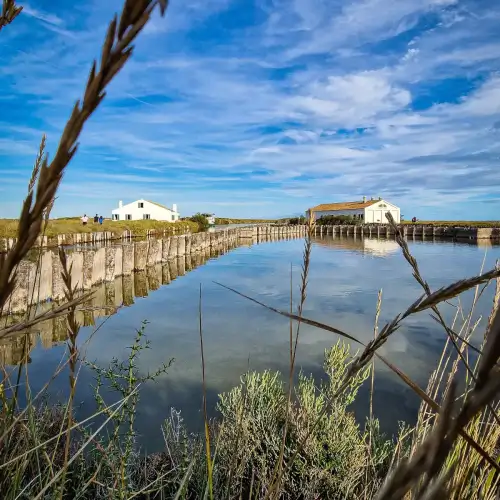 In barca nelle Valli di Comacchio 