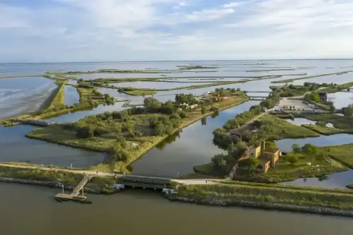 Tour privato con barca elettrica nelle Valli di Comacchio