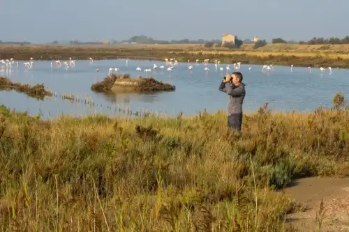 Birdwatching nella Salina di Comacchio